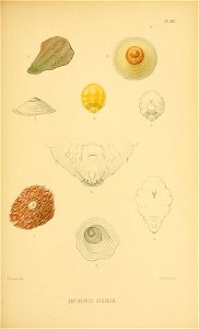 n154_w1150