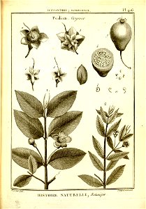n168_w1150