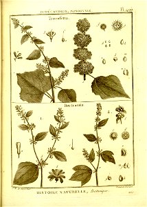 n152_w1150