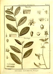 n107_w1150
