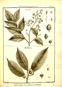n106_w1150