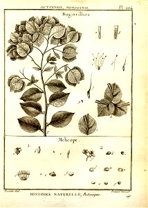 n46_w1150