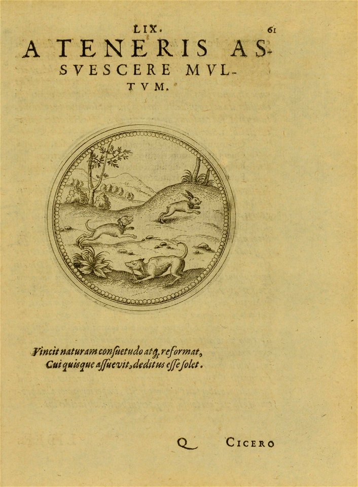n342_w1150