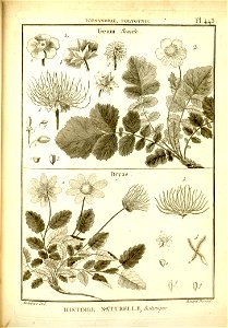 n195_w1150
