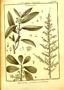 n135_w1150