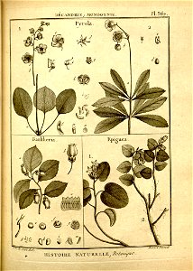 n119_w1150