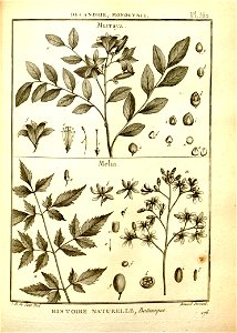 n104_w1150
