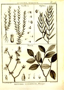 n45_w1150