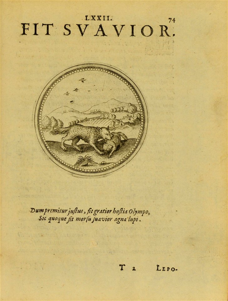 n368_w1150