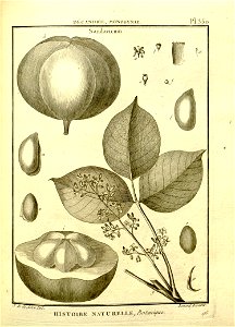 n102_w1150