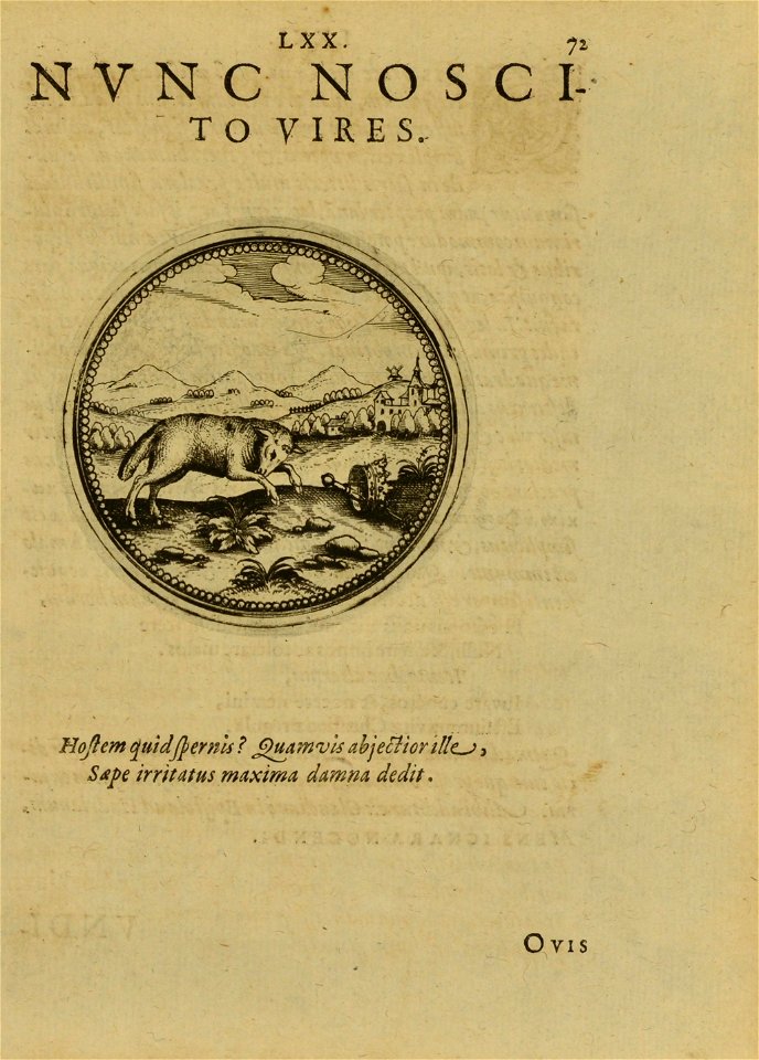 n364_w1150