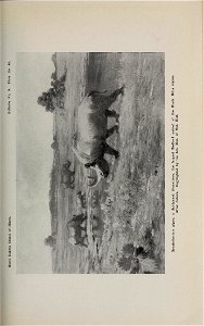 n196_w1150