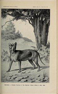n138_w1150