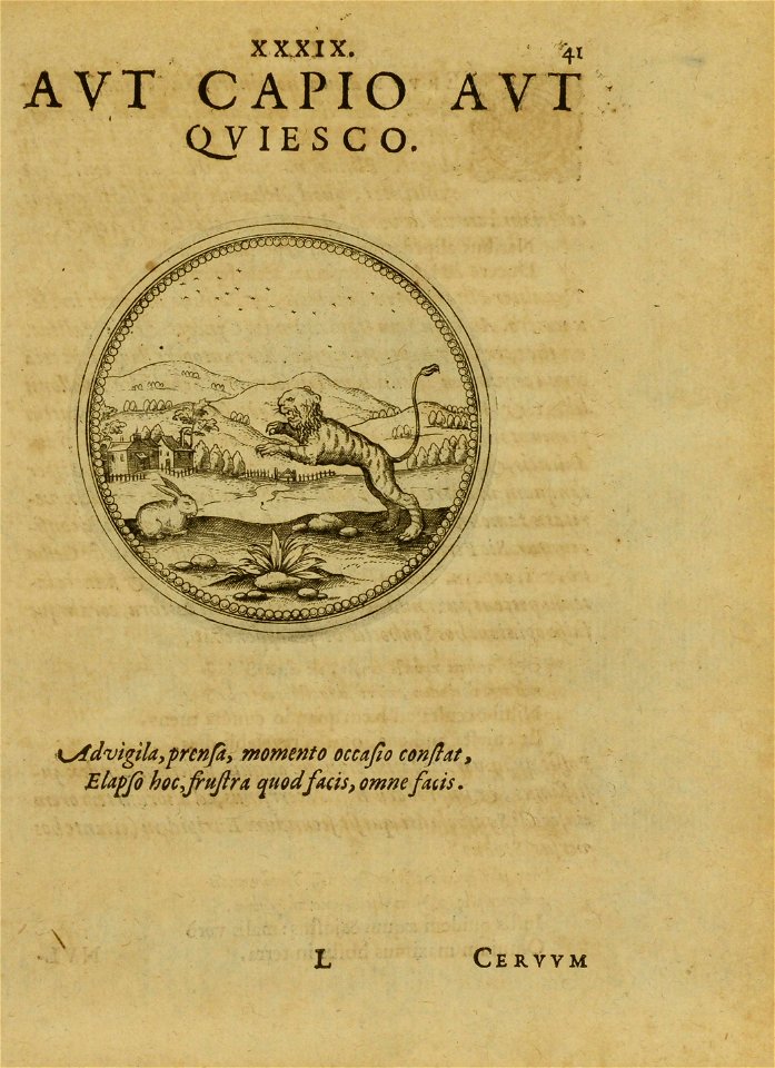 n302_w1150