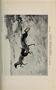 n172_w1150