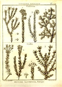 n43_w1150