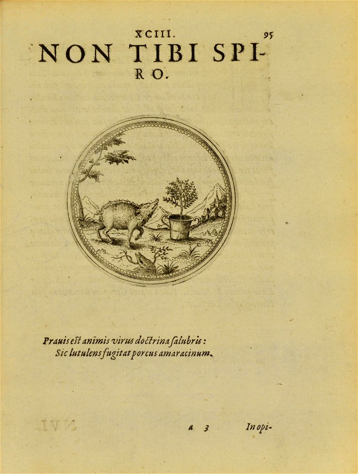n206_w1150