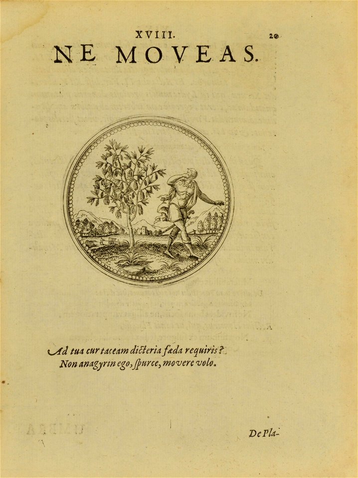 n56_w1150