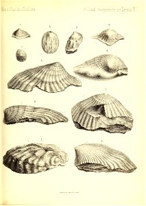 n372_w1150