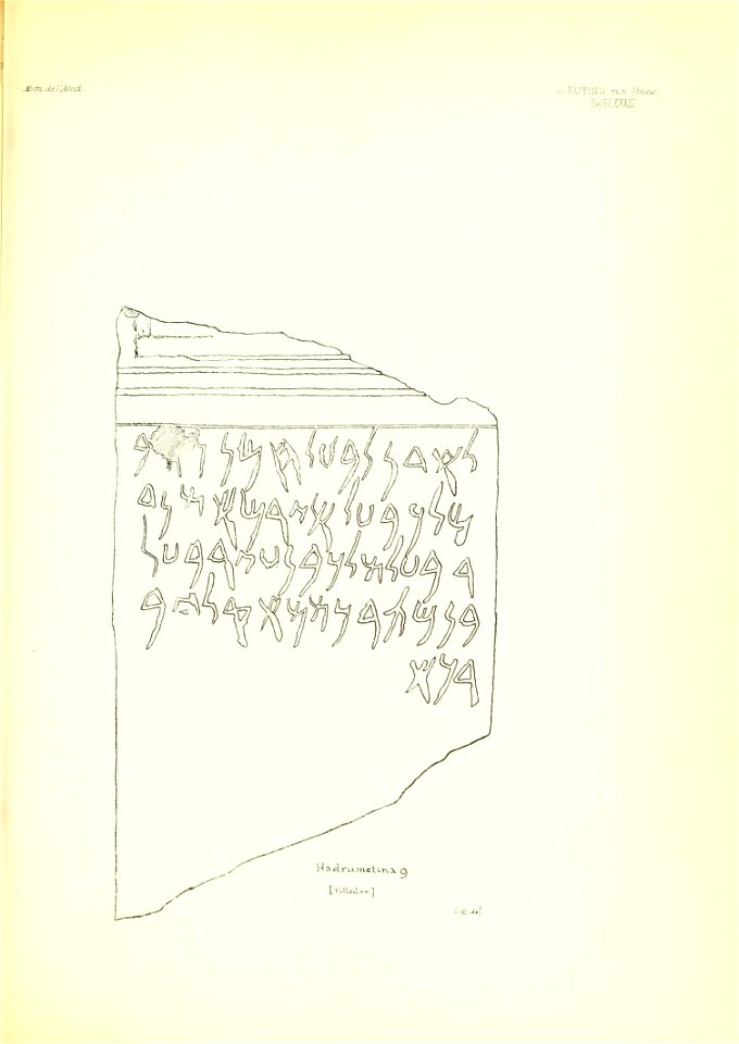 n334_w1150