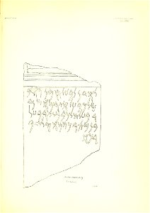 n334_w1150