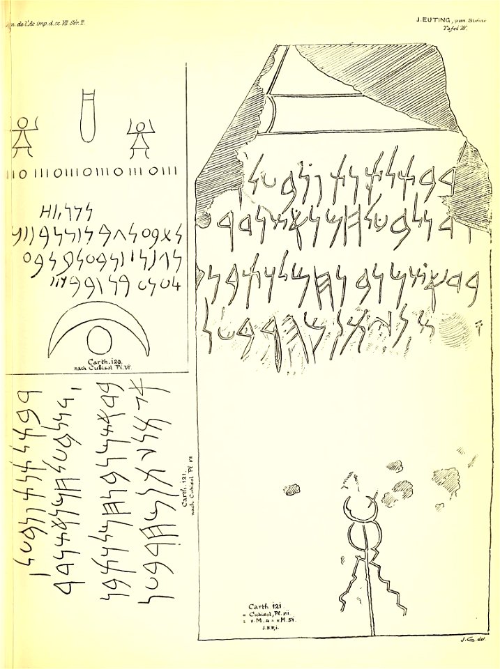 n250_w1150