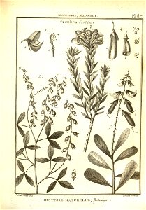 n120_w1150