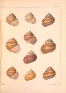 n468_w1150