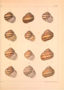 n378_w1150