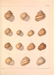 n376_w1150