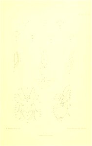 n490_w1150