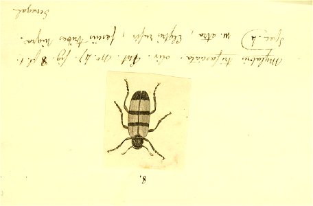n124_w1150