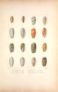 n58_w1150