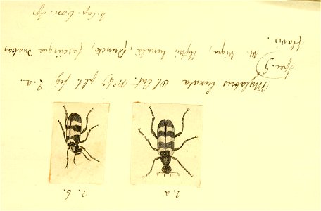 n122_w1150