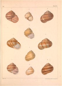 n462_w1150