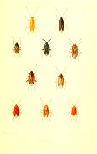 n478_w1150