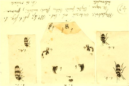 n118_w1150