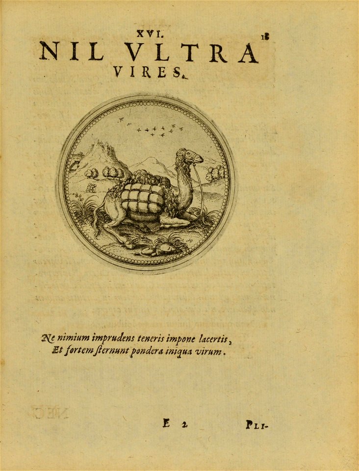 n256_w1150