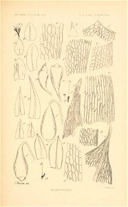 n396_w1150