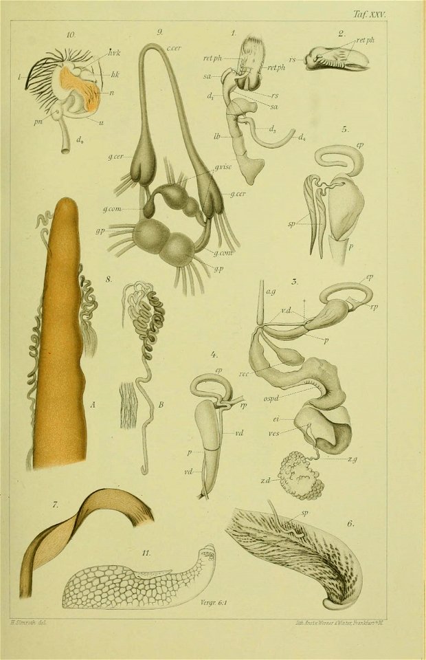 n402_w1150