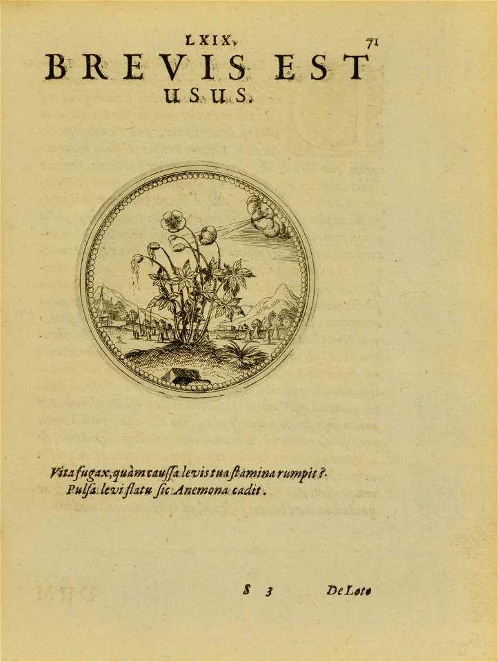 n158_w1150