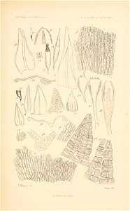 n392_w1150