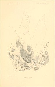 n276_w1150