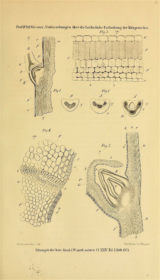 n574_w1150