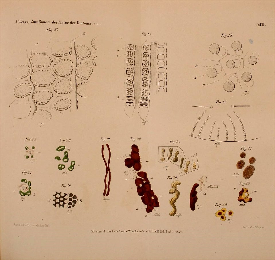 n152_w1150