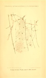n1062_w1150