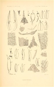 n384_w1150