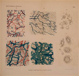 n468_w1150