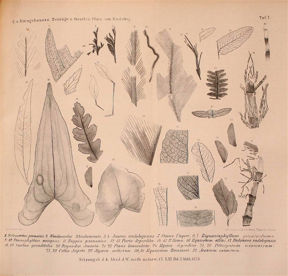 n1024_w1150