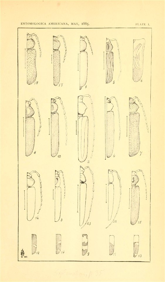n48_w1150